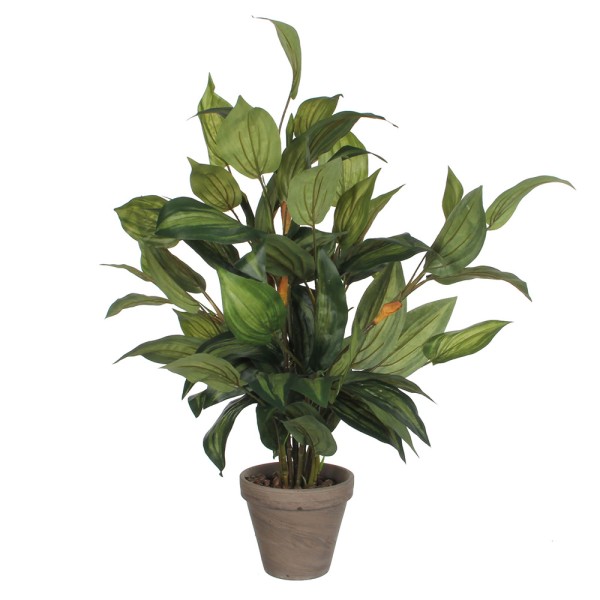 Maceta de hosta verde, 15,5 x 65 cm
